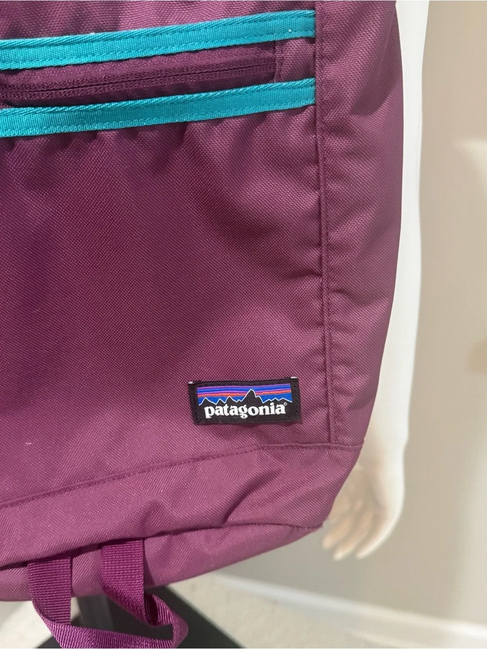 Patagonia Plum Backpack with Teal Interior & Trim Unisex Hiking Multipurpose Bag